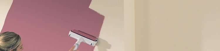 Paint Rollers & Pads